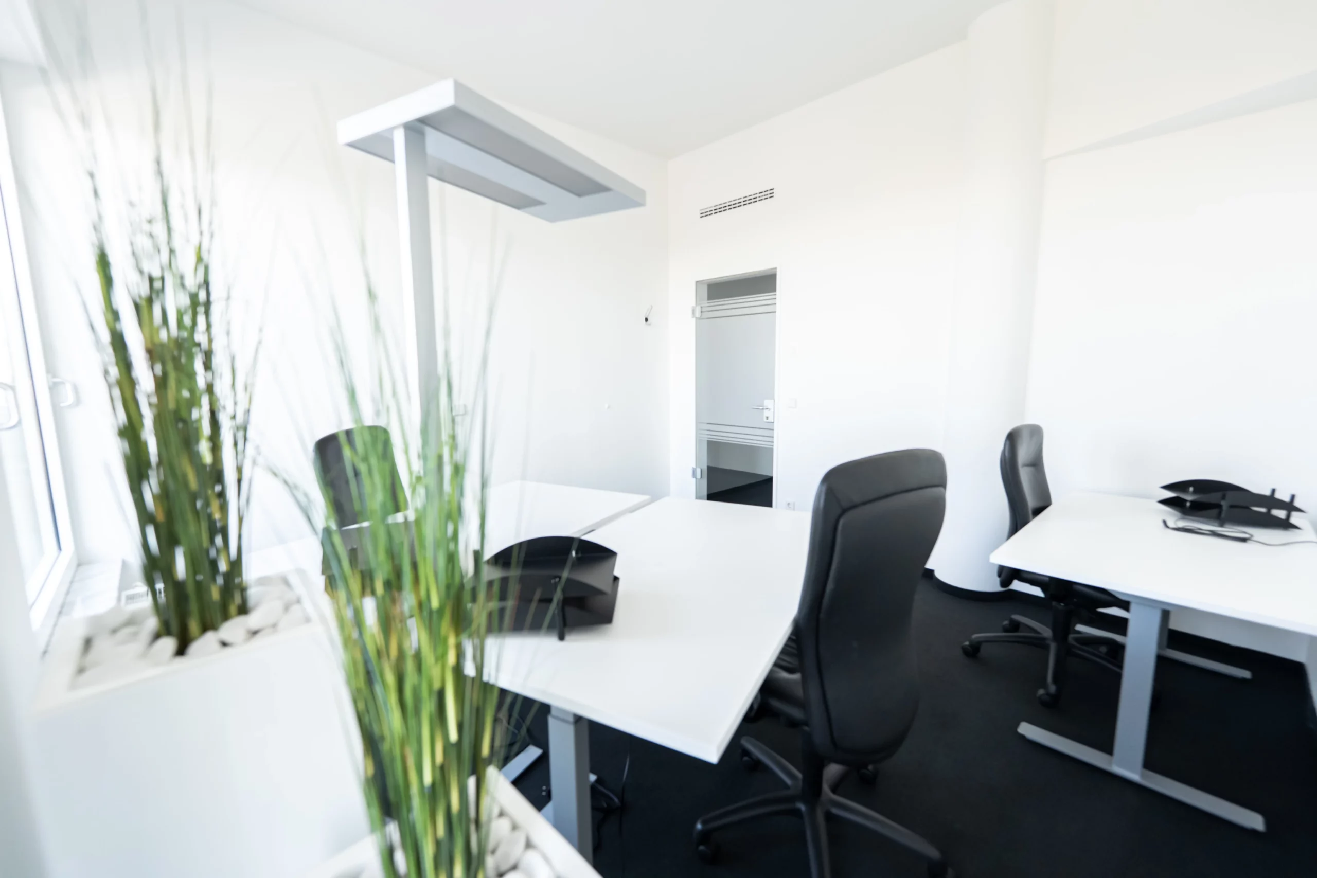 Octavus Office office picture